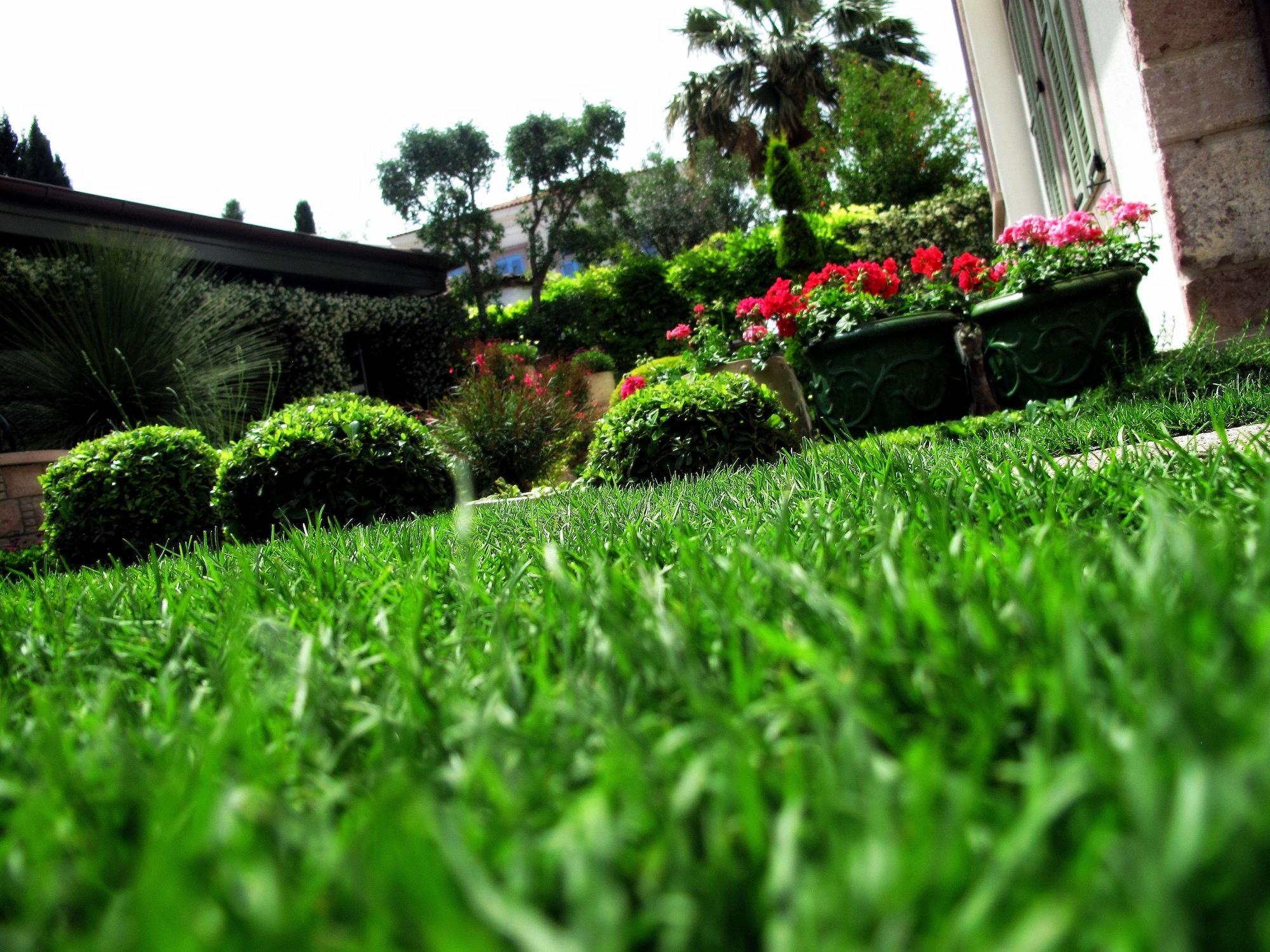 Nisi Hotel (Adults Only) Ayvalı Eksteriør billede